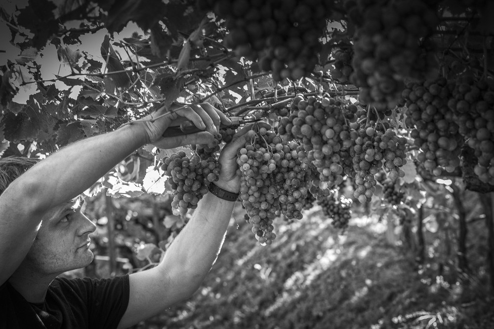 3. Platz Conny Kleiner